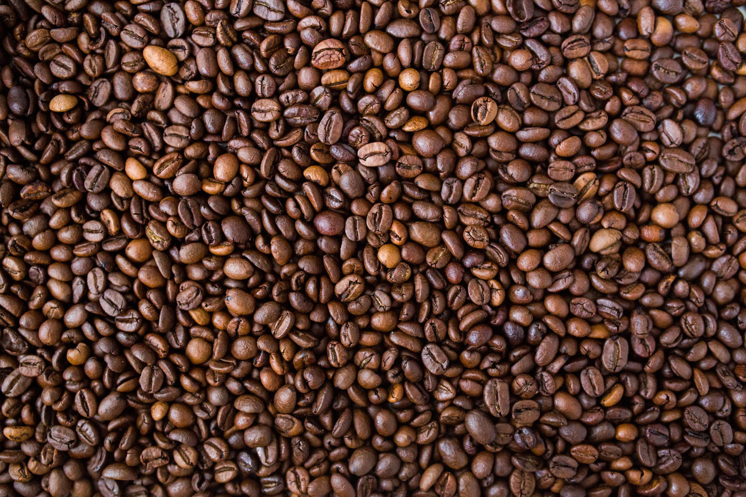 Close-up of roasted coffee beans filling the frame