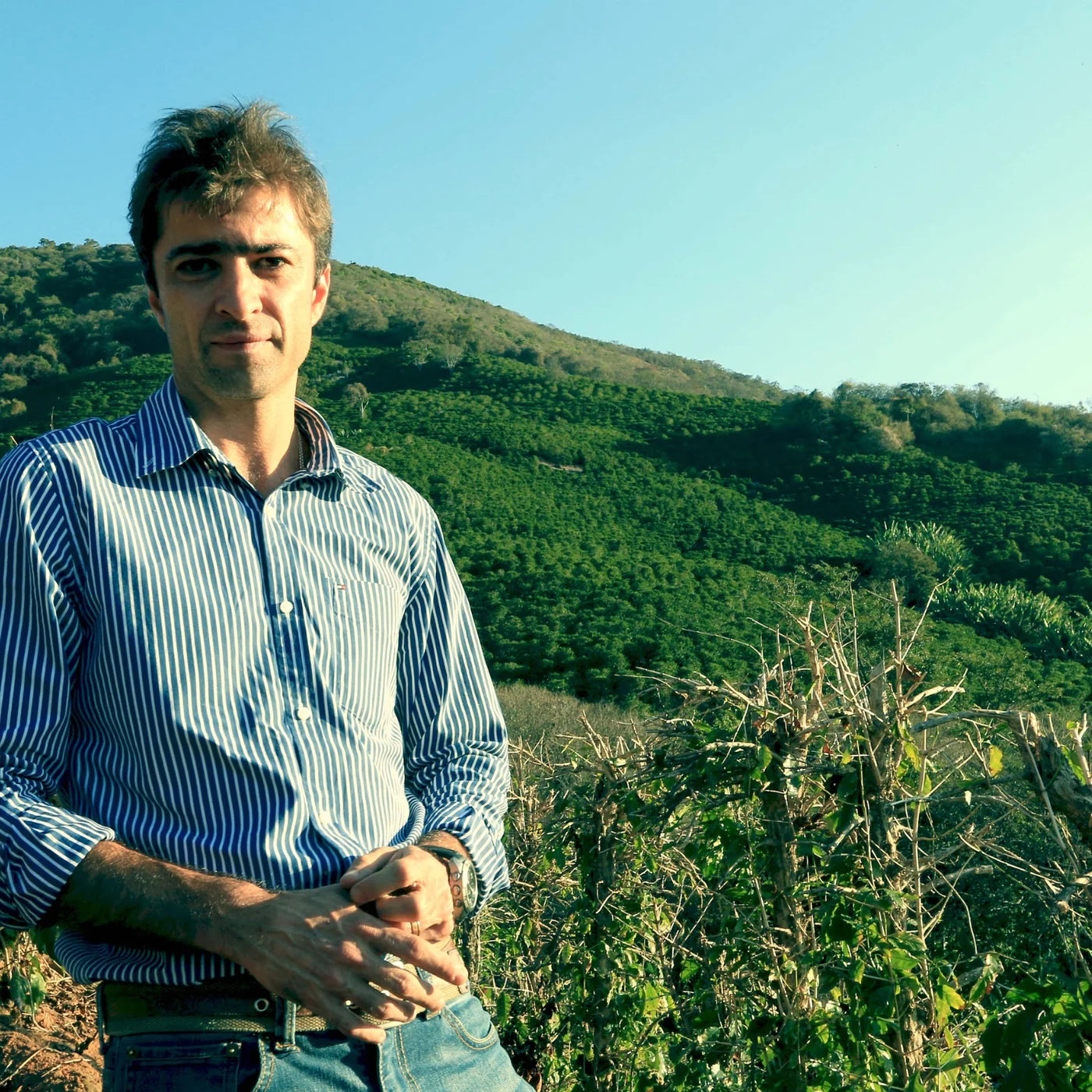 Man wearing a blue striped shirt standing with hands clasped in front of a hillside coffee plantation at Santa Lúcia farm in Brazil