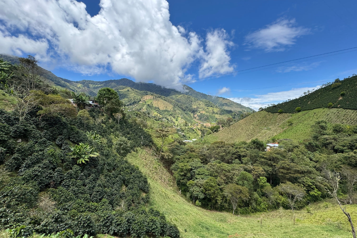 Nuevo Horizonte coffee farm on steep green hills in Colombia under a blue sky with clouds