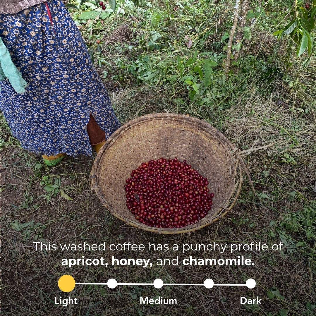 Ethiopia - Uraga