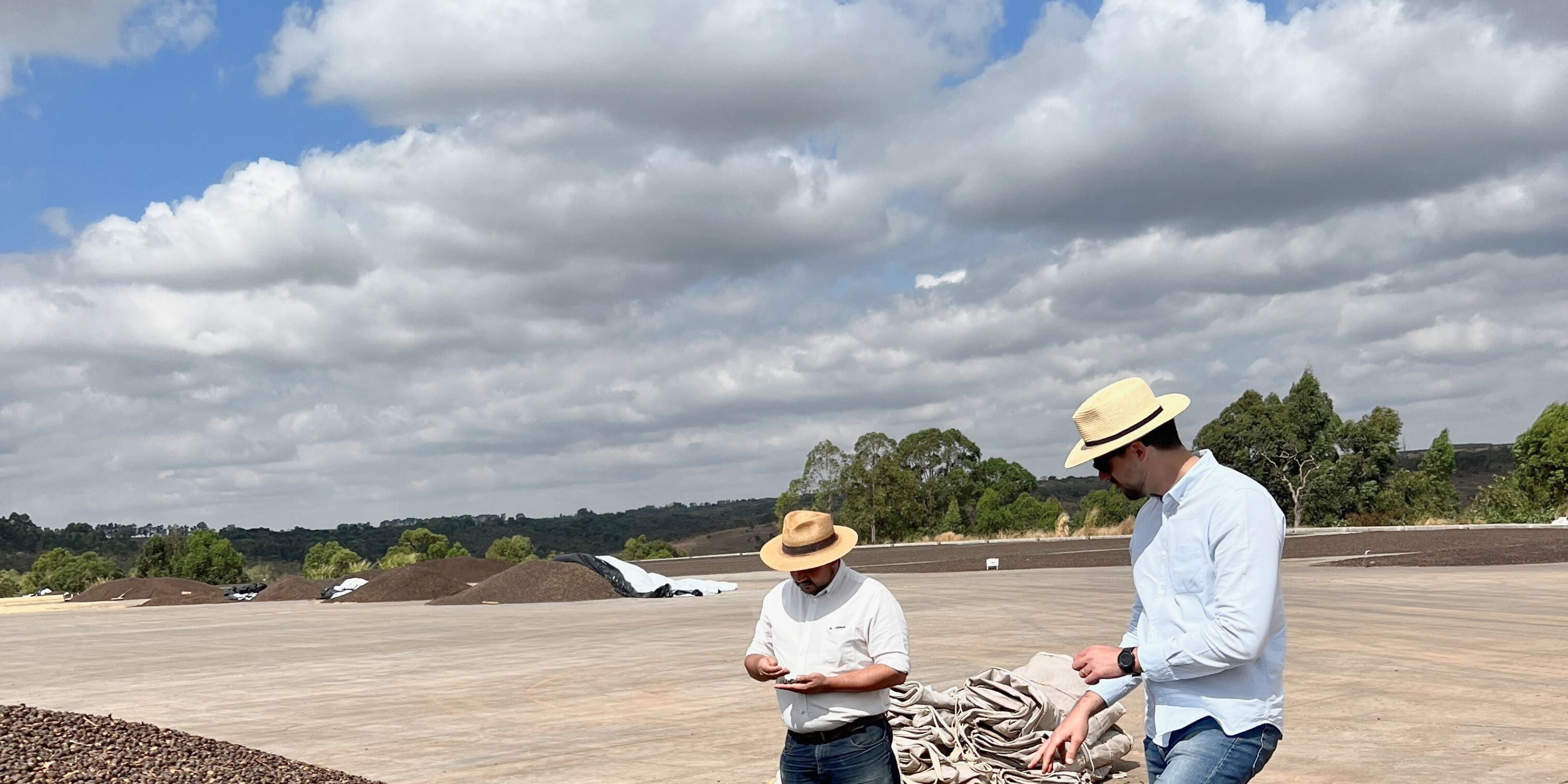 Two men in straw hats inspecting coffee beans on a large drying patio in Pântano, Cerrado Mineiro under a cloudy sky