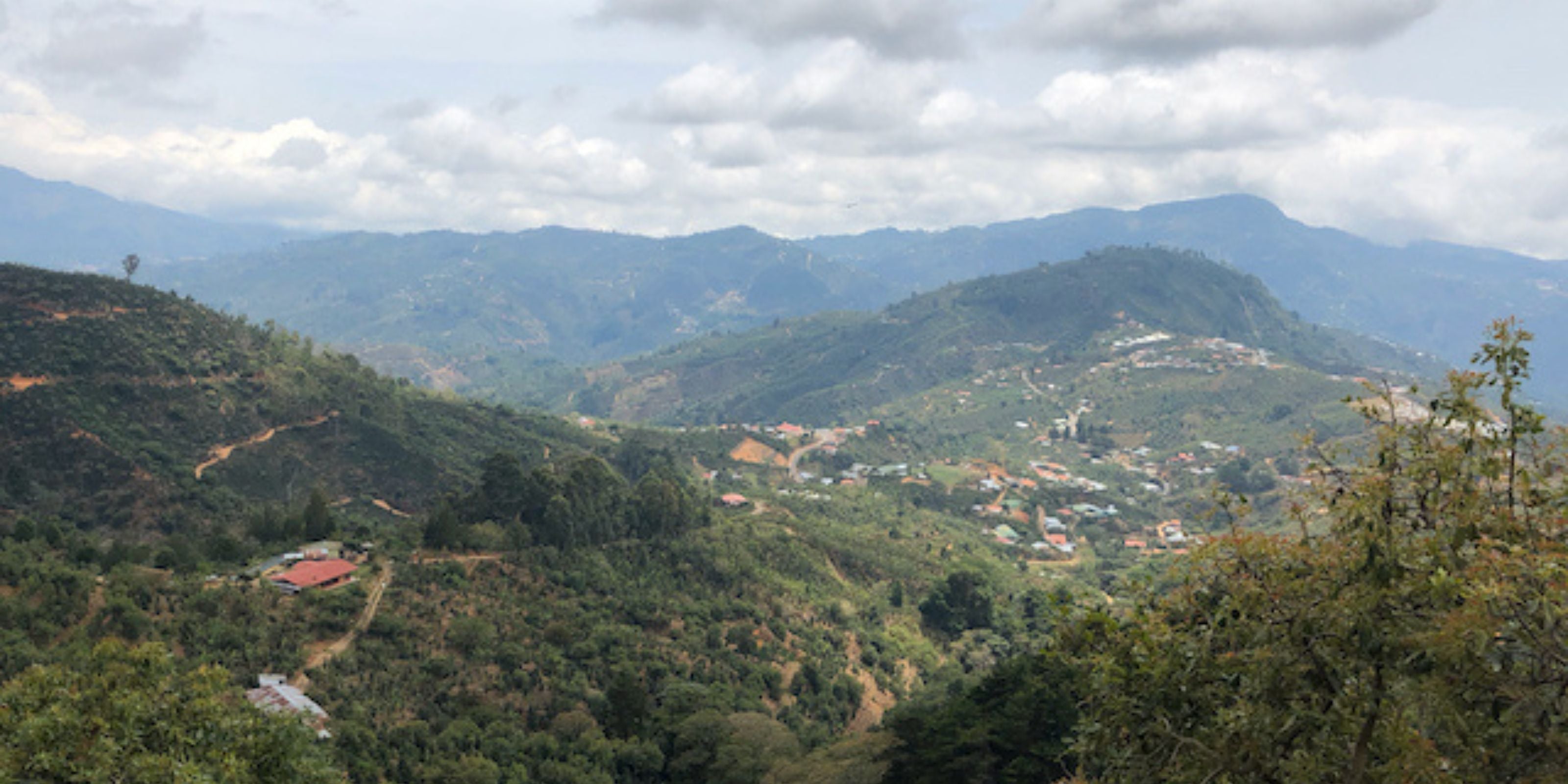 Panoramic view of coffee-growing mountains and scattered farmhouses near Santa Barbara, Honduras under a cloudy sky