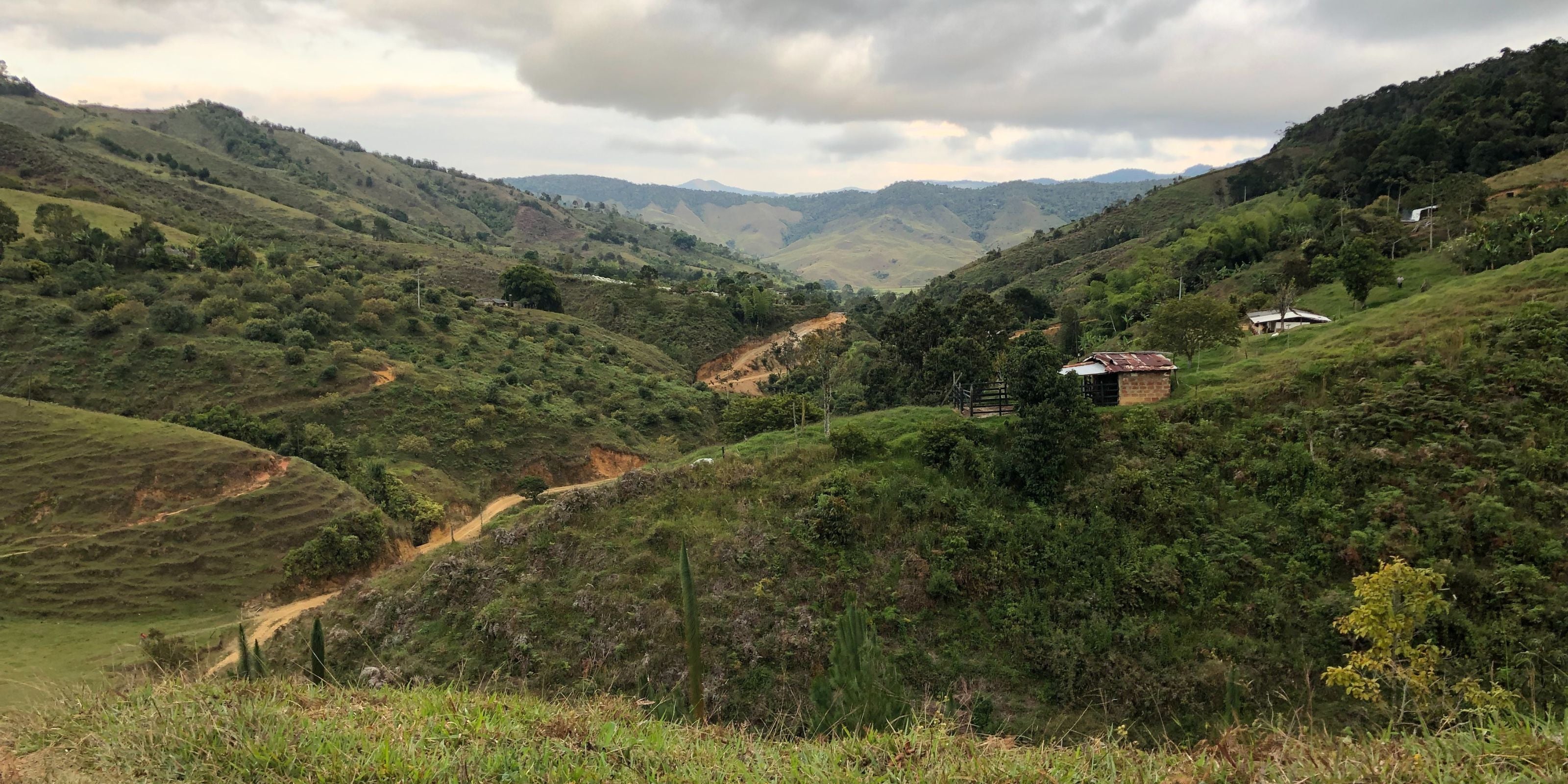Panoramic view of coffee-growing hills, dirt roads, and small farmhouses in Caicedo, Antioquia, Colombia under a cloudy sky