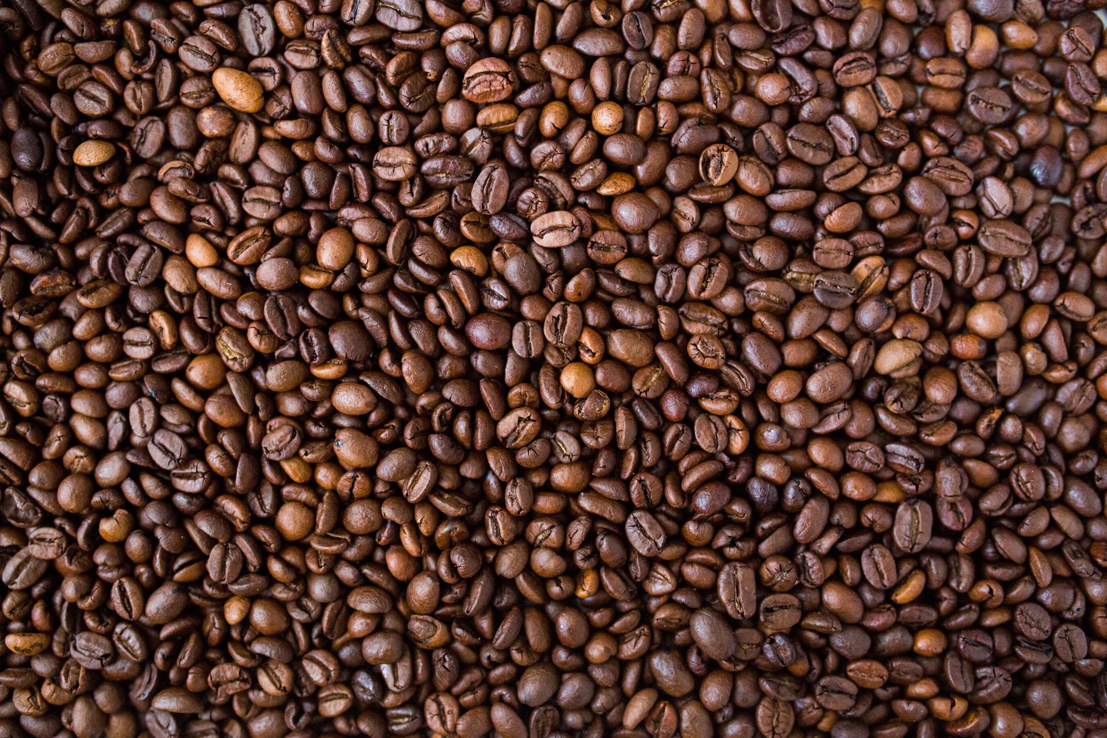 Close-up of roasted coffee beans filling the frame