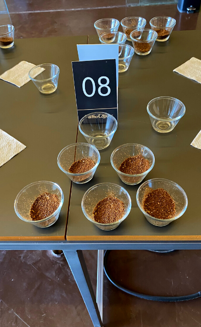 Cupping table with multiple bowls of ground coffee arranged around a black table number card reading 08