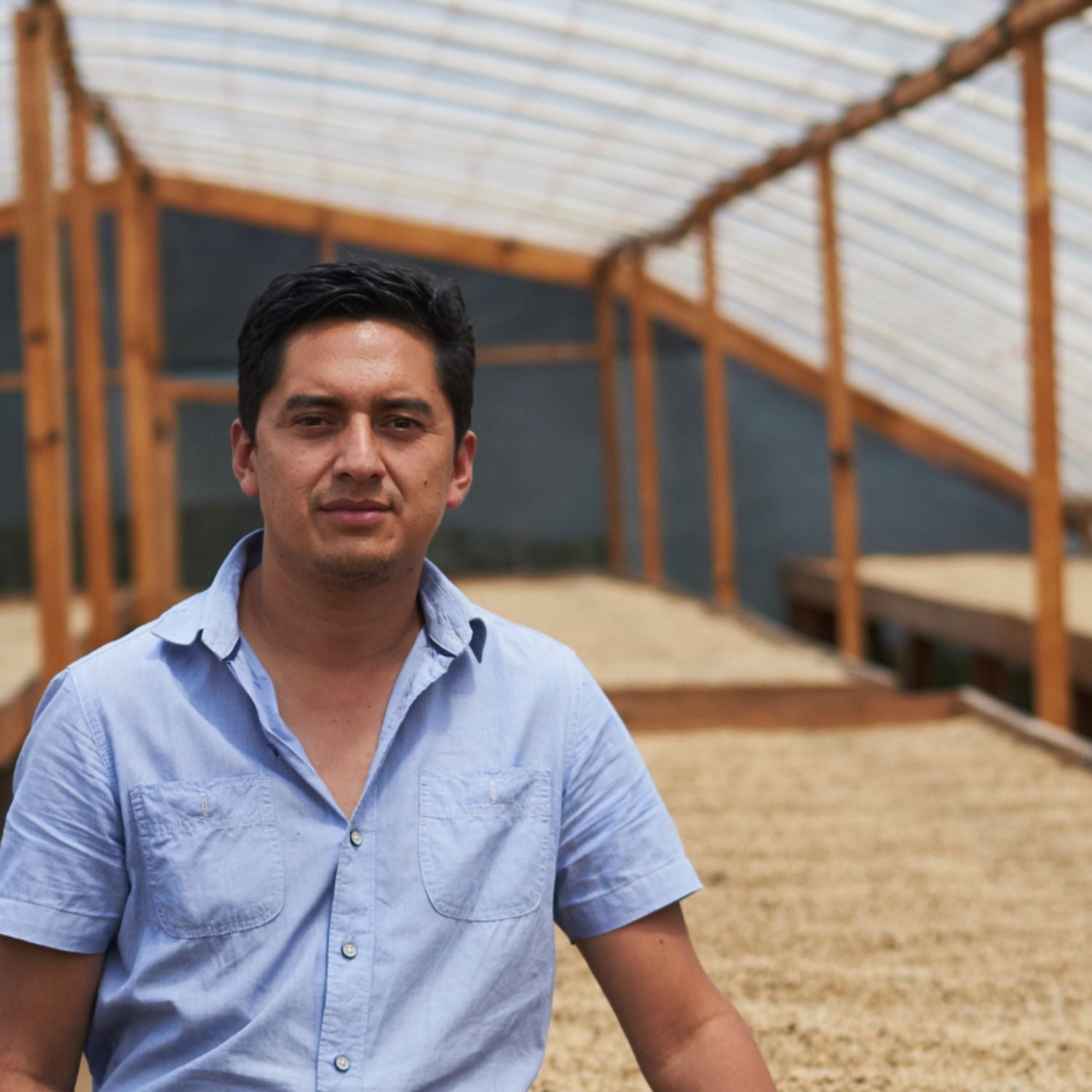 Man standing in a covered drying patio beside raised beds of drying coffee beans