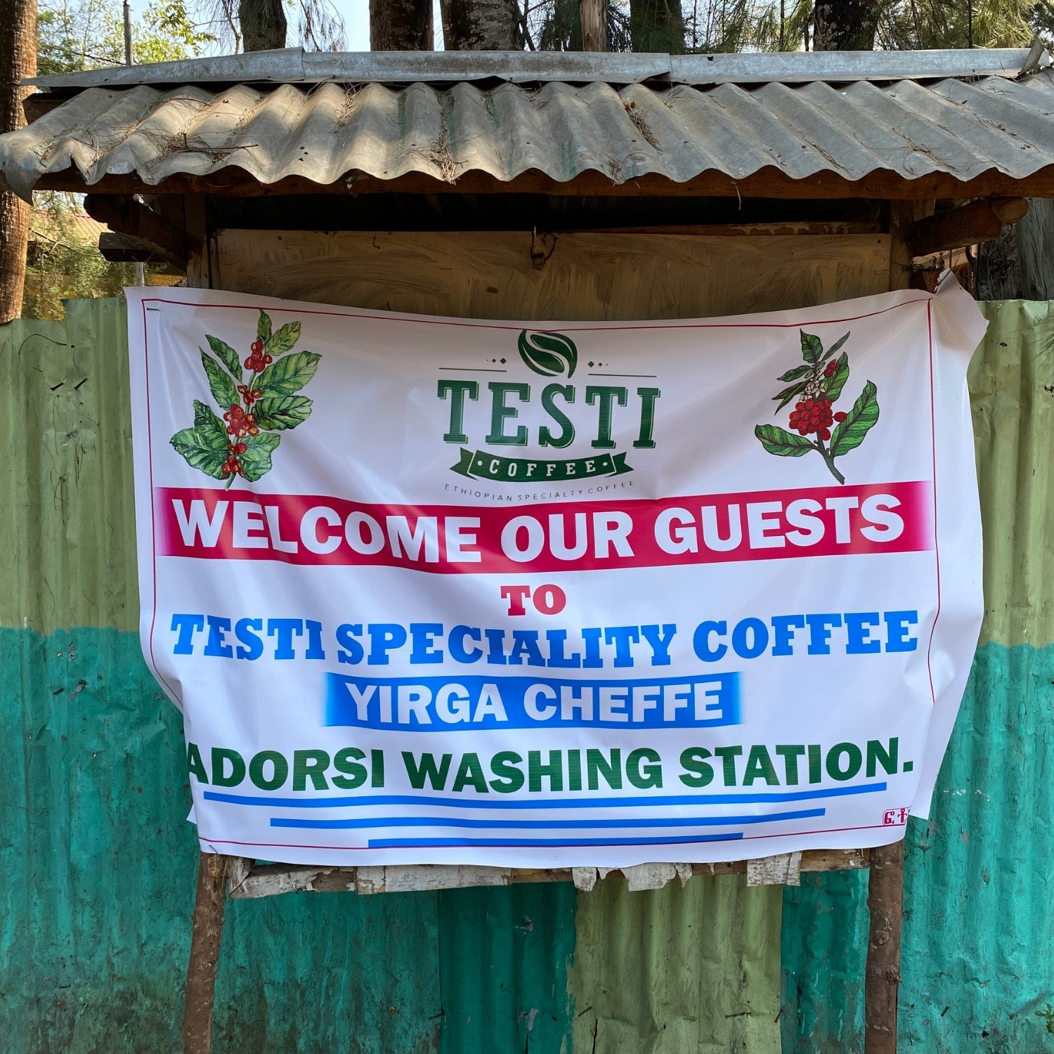 Banner reading WELCOME OUR GUESTS for Testi Specialty Coffee, Yirga Cheffe Adorsi washing station hung on a corrugated shelter