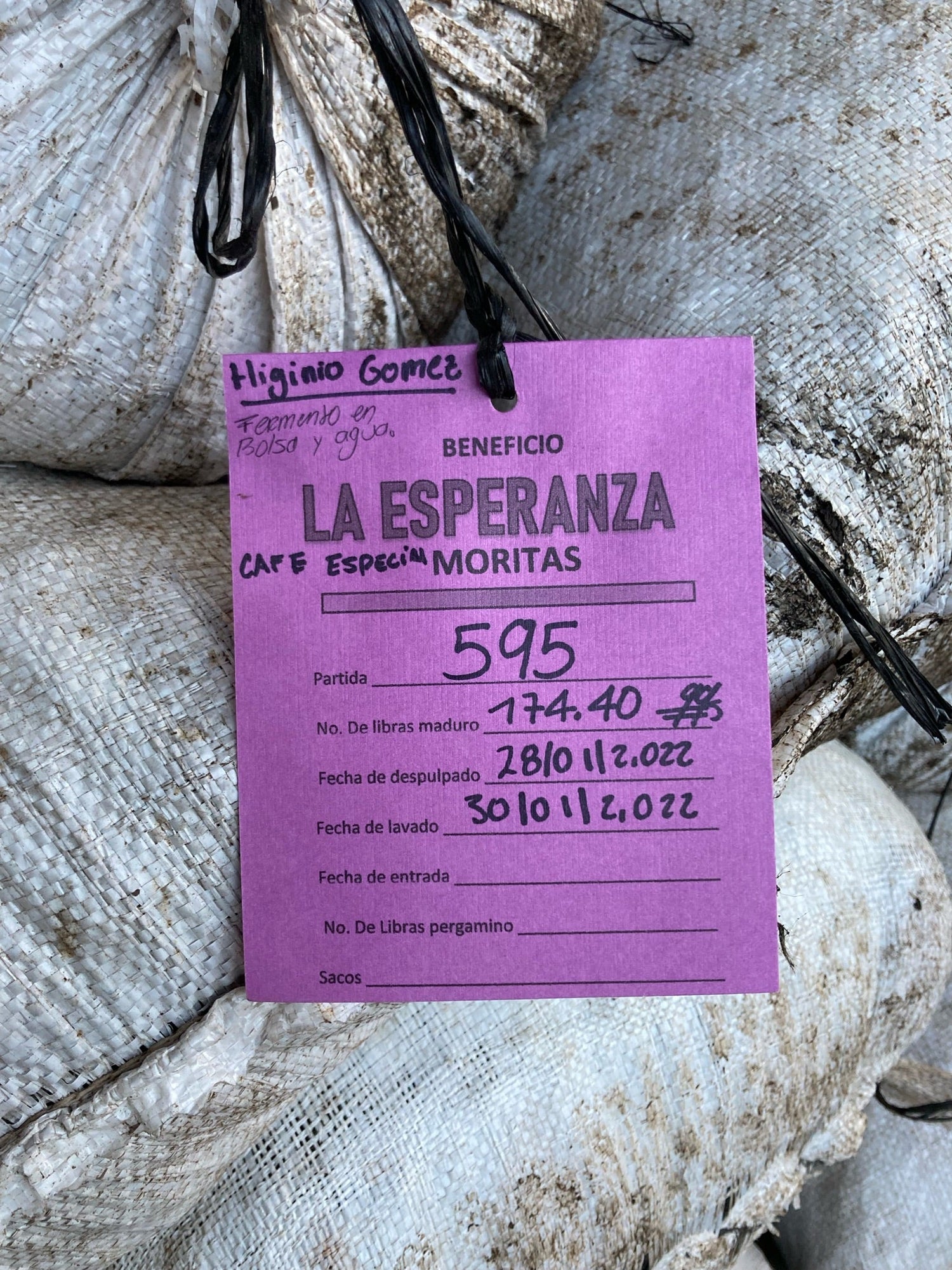 Purple tag reading LA ESPERANZA and handwritten Higinio Gomez marked 595 hanging from stacked coffee parchment sacks