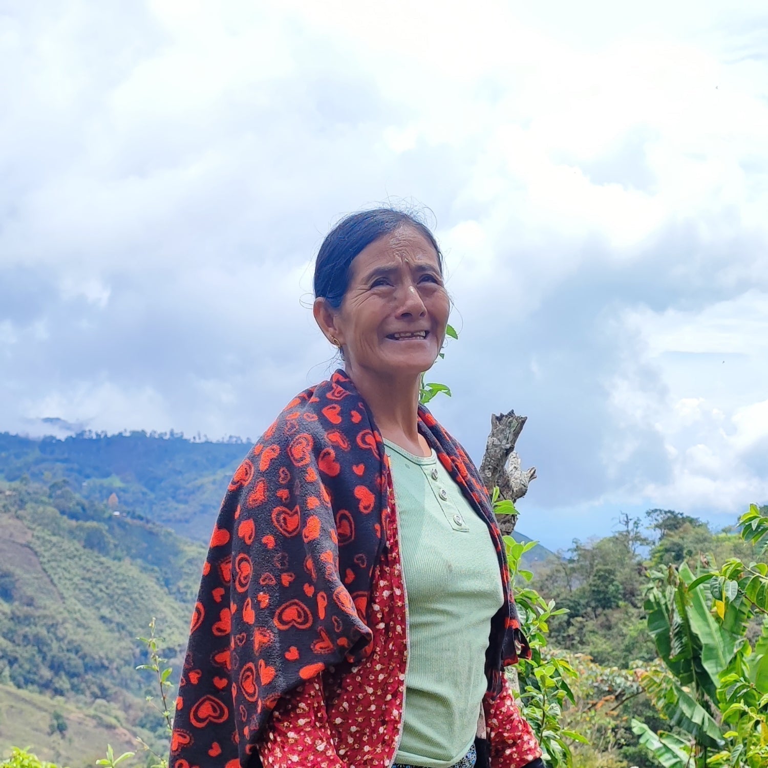 Lucía Muñoz standing among coffee plants on her Peruvian mountainside farm with cloudy sky behind her