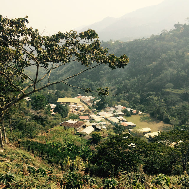 Misty hillside overlooking a small village and forested mountains in Huila, Colombia