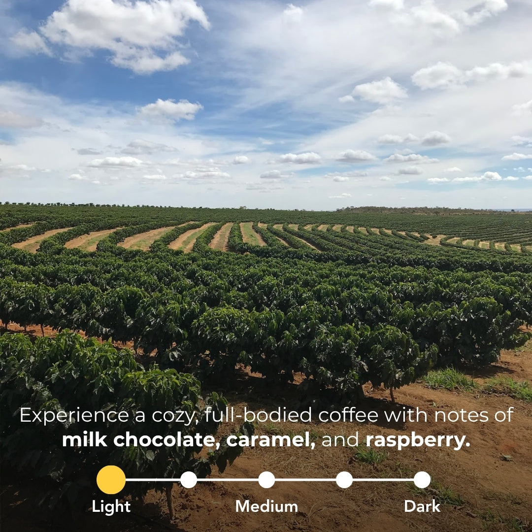Coffee plantation in Brazil with overlay highlighting a cozy, full-bodied coffee and milk chocolate, caramel, and raspberry notes; medium roast