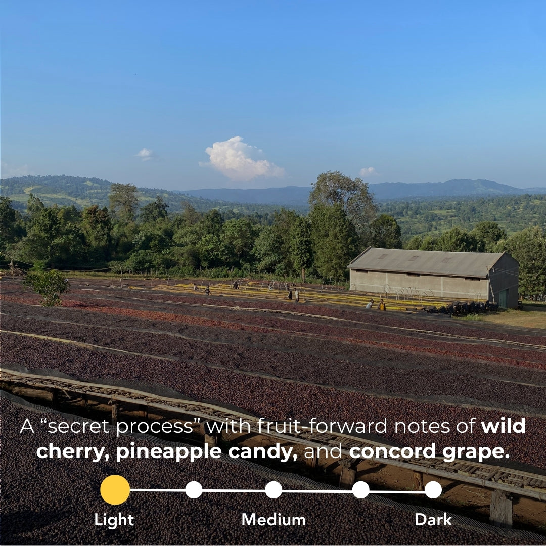 Ethiopia - Secret Process
