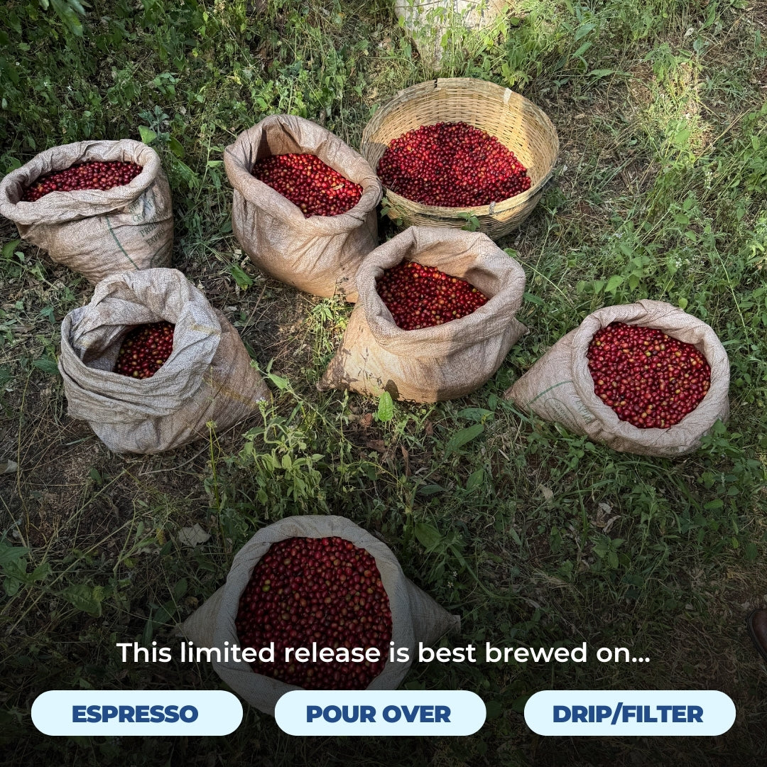 Photo showing sacks of red coffee cherries with overlay text about recommended brew methods: Espresso, Pour Over, Drip/Filter