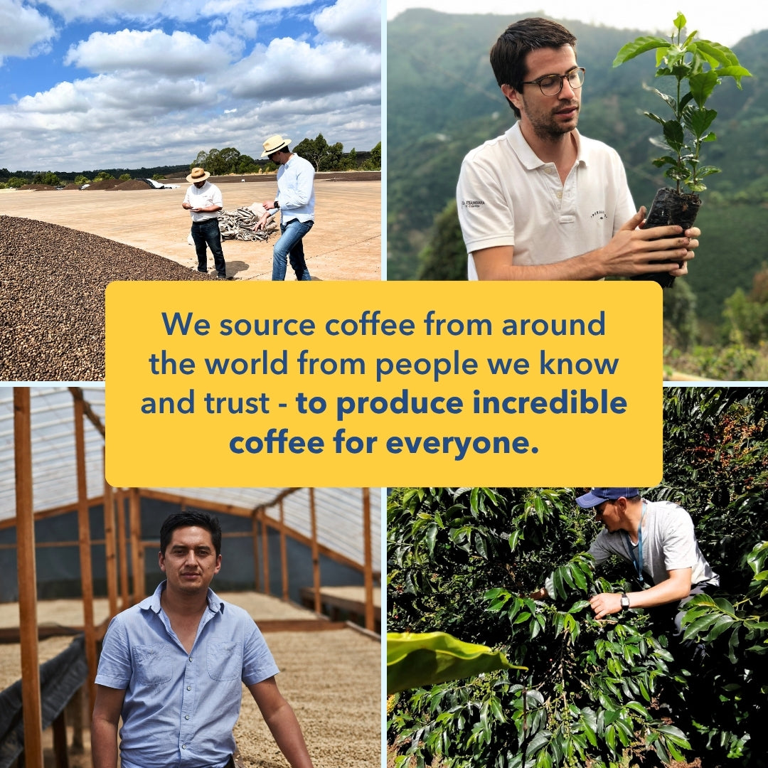 Single Origin Shuffle Subscription