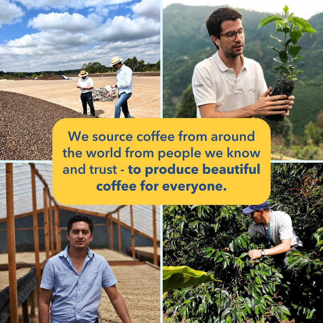 Collage: We source coffee from around the world from people we know and trust - to produce beautiful coffee for everyone