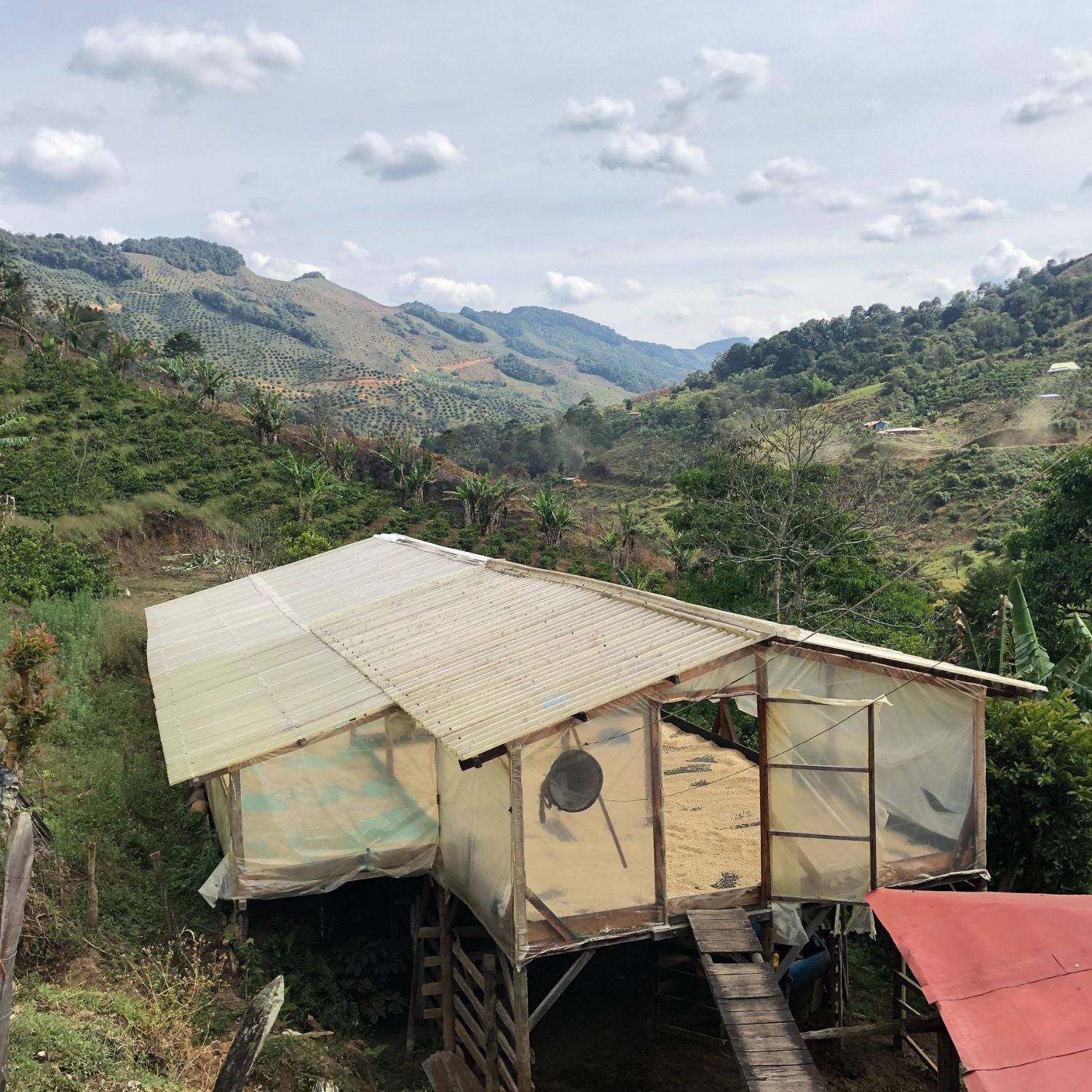 Coffee drying shed on stilts with translucent walls drying coffee beans in a green mountainous valley under a cloudy sky