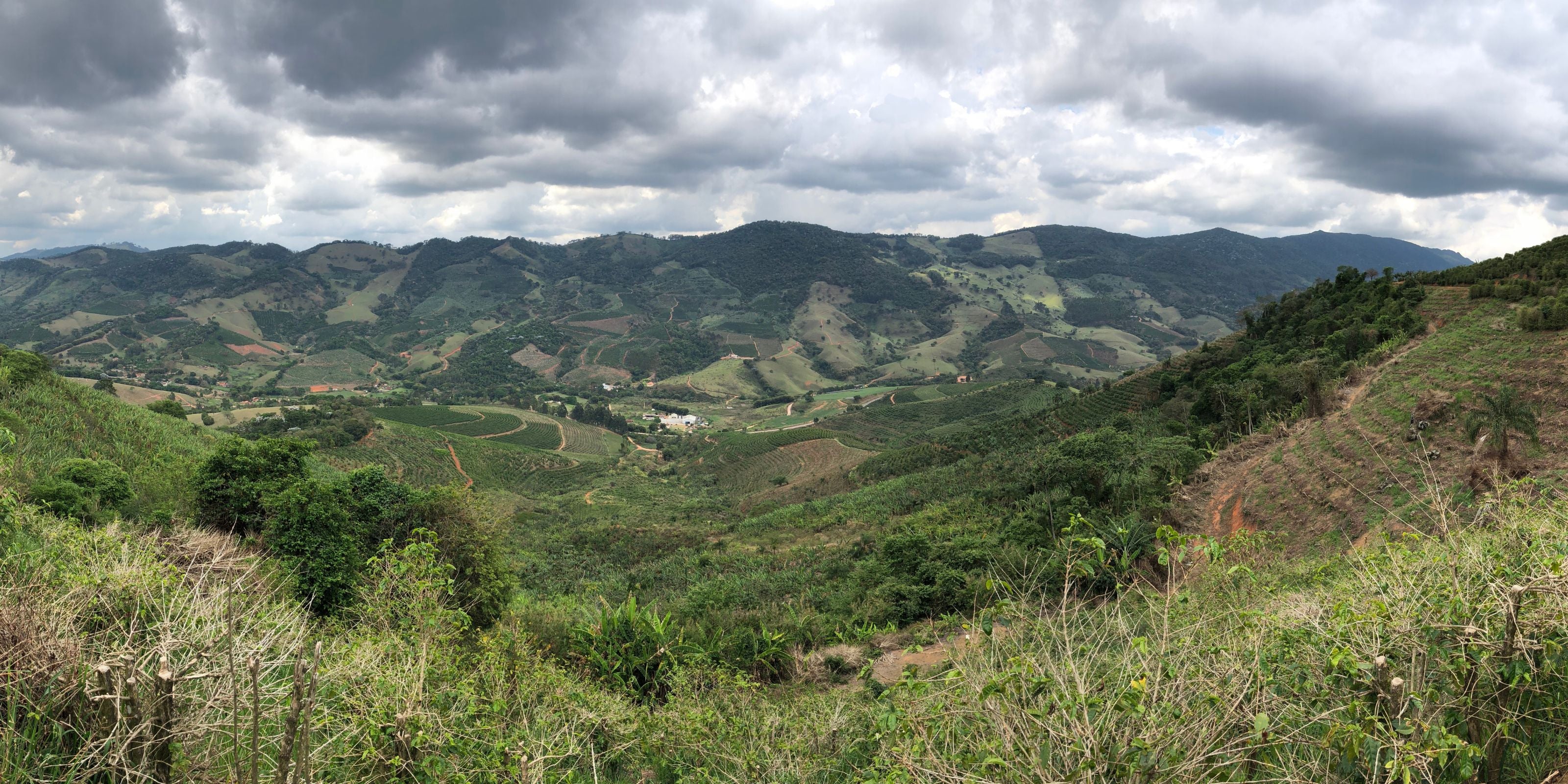 Coffee farms terraced across rolling hills in Huila, Colombia under a cloudy sky