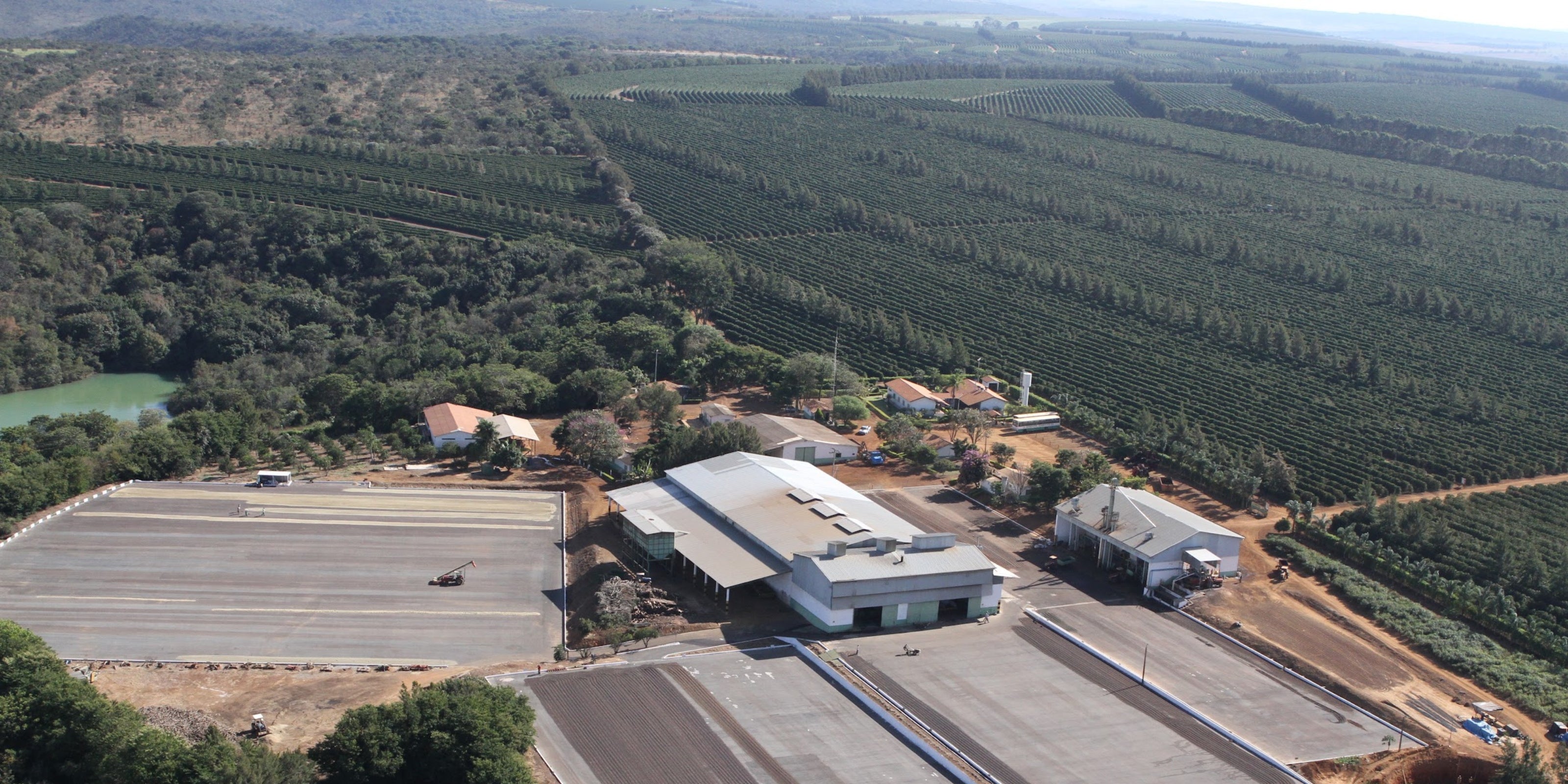 Aerial view of a coffee farm in Pântano, Cerrado Mineiro, Minas Gerais, Brazil, with rows of coffee plants and farm buildings