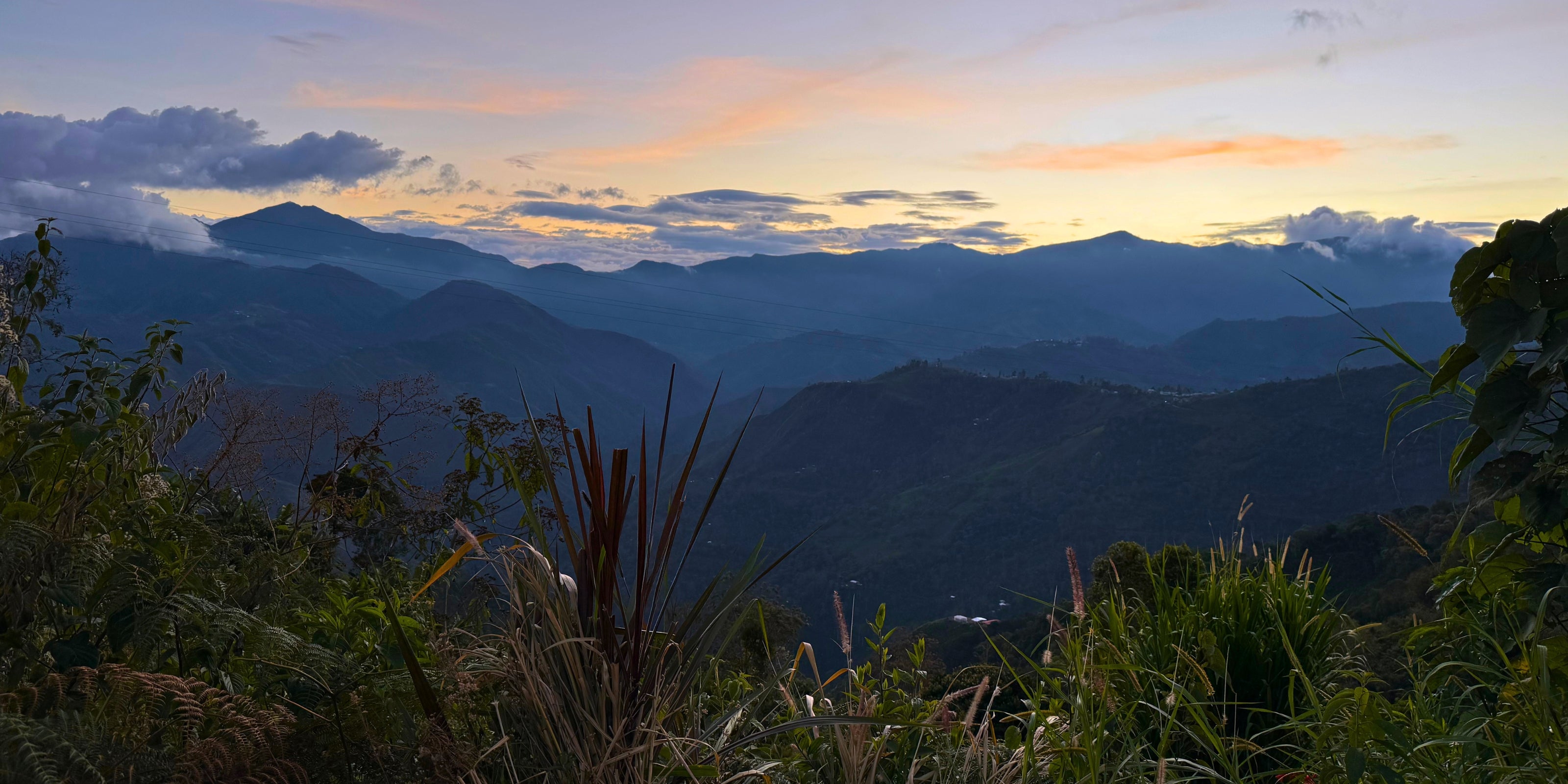 Sunrise over mountains near a Peruvian coffee farm with silhouetted foreground plants and layered blue ridges