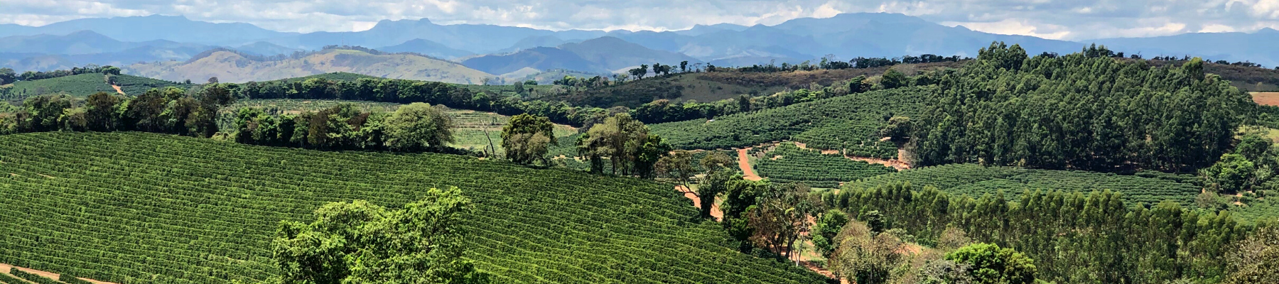 Coffee farm fields stretching across rolling green hills with distant mountains and overlaid text ‘Your Order Status’